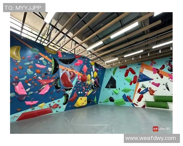 深圳攀岩队在马拉松大满贯中的团队协作表现深度解析与点评